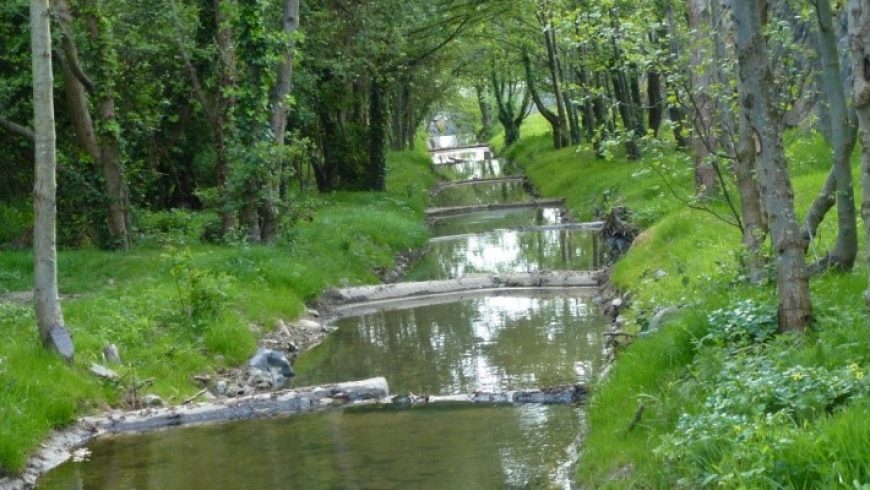 Naturalización de canal en Bermeo (Bizkaia)
