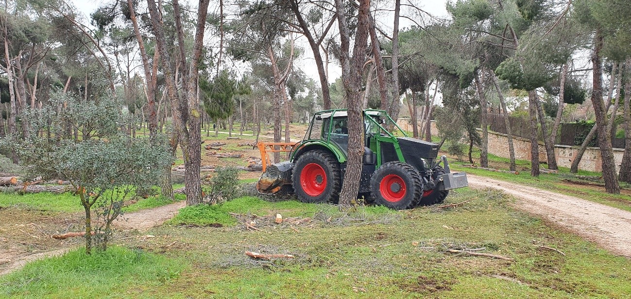 Trabajos forestales en la Casa de Campo, Madrid