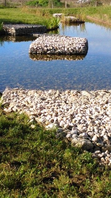 Charca para aves en Kutxa Ekogunea, Gipuzkoa